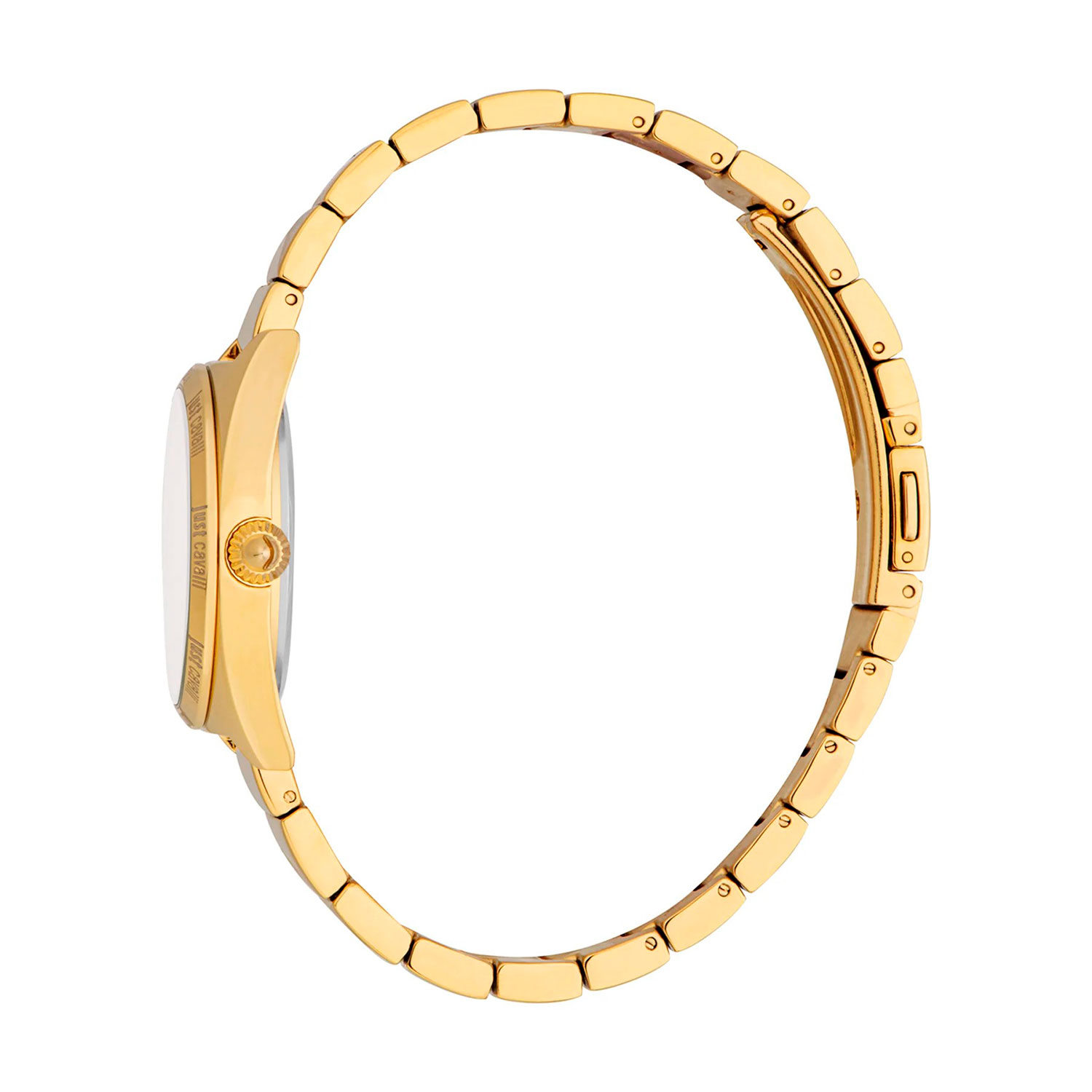 Just Cavalli JC1L329M0055